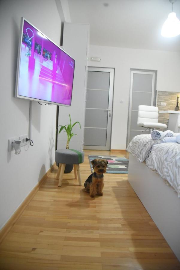 Dekart 2 Apartment Nisz Zewnętrze zdjęcie