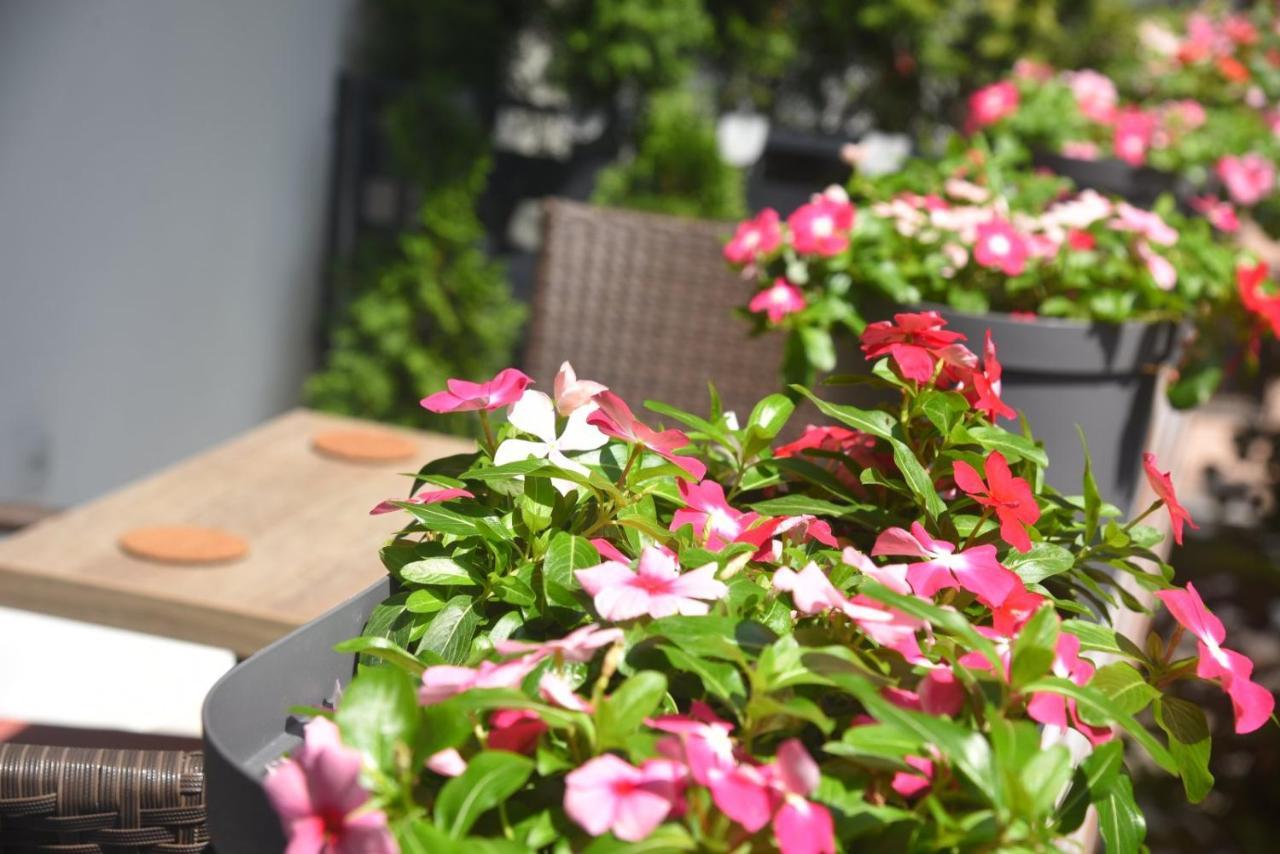 Dekart 2 Apartment Nisz Zewnętrze zdjęcie